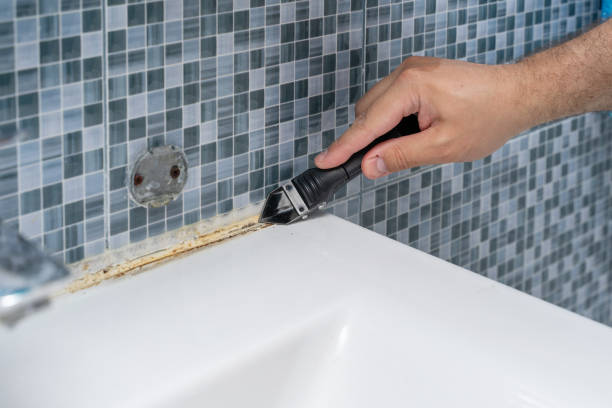 Best Residential Mold Remediation in Bryant, AR